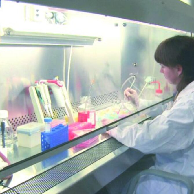 The Kielanowski Institute of Animal Physiology and Nutrition Polish Academy of Sciences