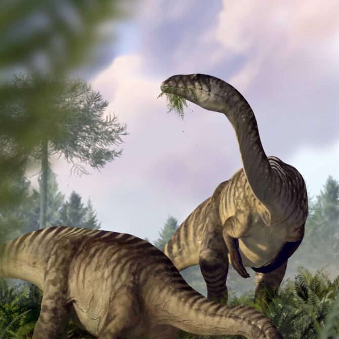 Skamieniałe odchody ujawniają wskazówki dotyczące powstania dinozaurów