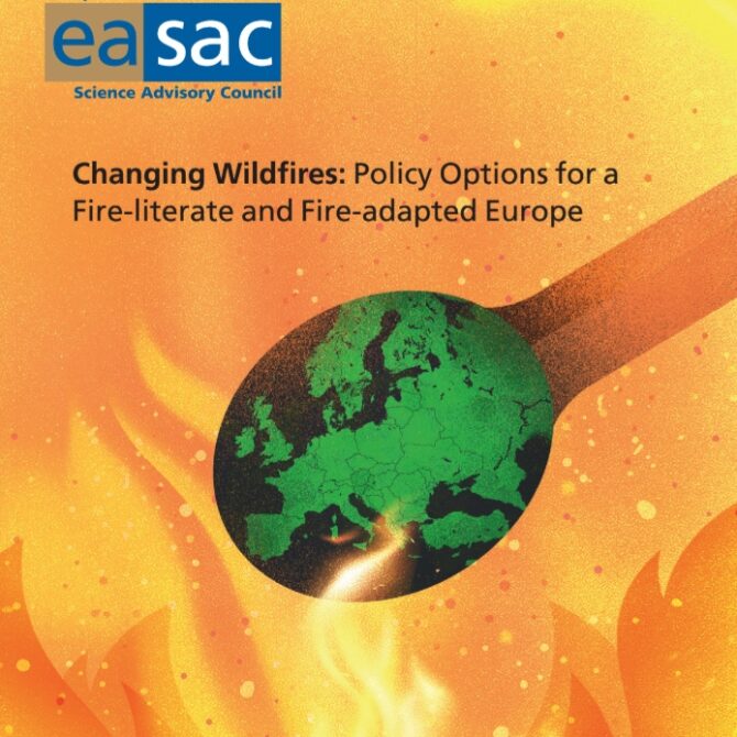 Nowy raport EASAC: Pożary lasów coraz częstsze i intensywniejsze Europa musi nauczyć się żyć z ogniem