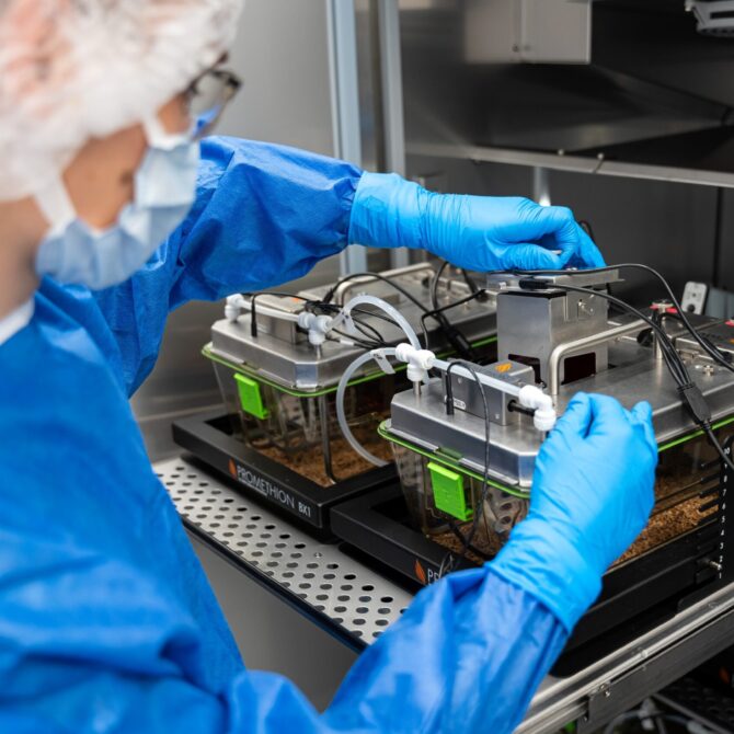 IN-MOL-CELL – nowa jakość w badaniach biomedycznych