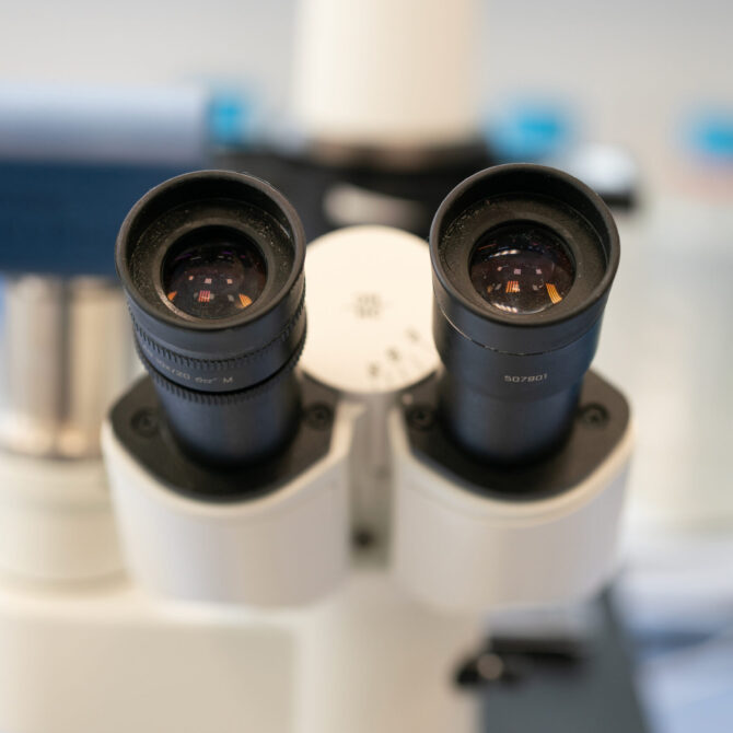 Od laboratoriów do biznesu. Wyniki przełomowego projektu badawczego Mapa Mikrobiomu Polski trafiają do komercjalizacji