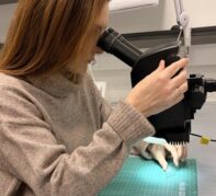 Kobieta bada materiał pod mikroskopem