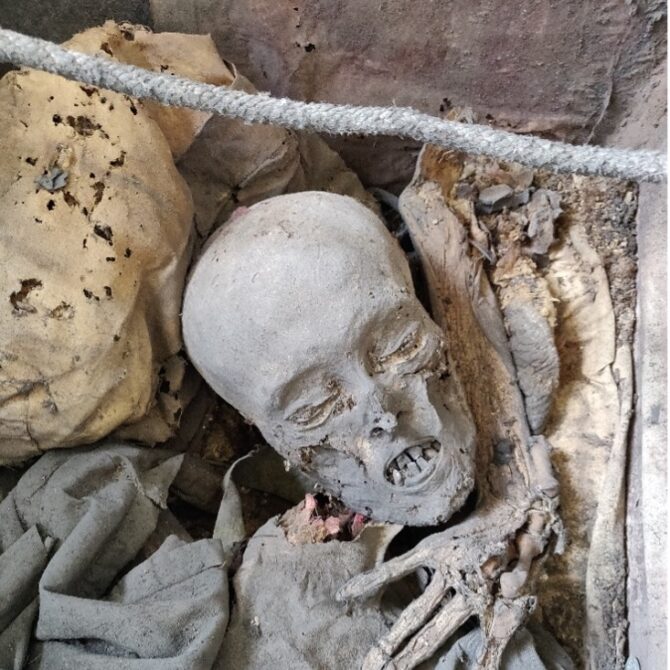 Genetyczne korzenie Piastów. Przełomowe badania rzucają nowe światło na początki polskiej państwowości