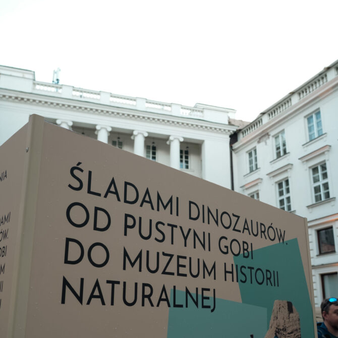 „Śladami dinozaurów. Od pustyni Gobi do Muzeum Historii Naturalnej” – wystawa o spełnionych i niespełnionych marzeniach