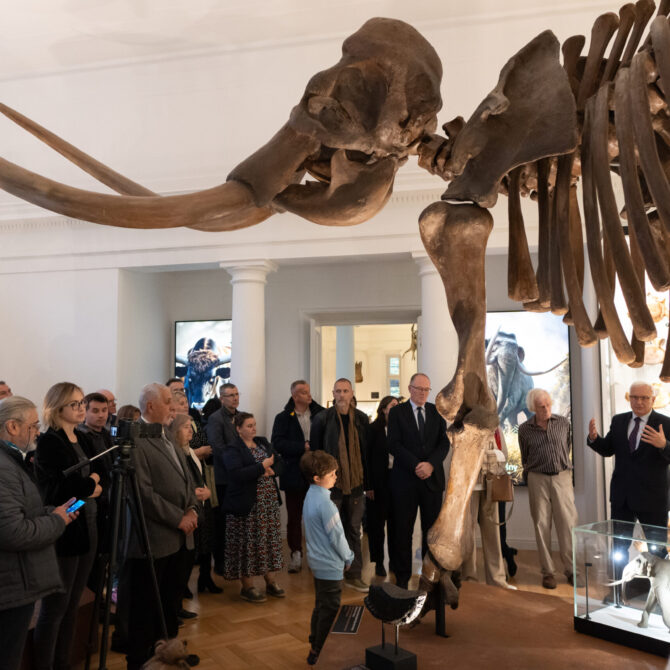 Trzy jednostki PAN łączą siły na rzecz utworzenia Muzeum Historii Naturalnej PAN. Prehistoryczne olbrzymy już na wystawie w Warszawie