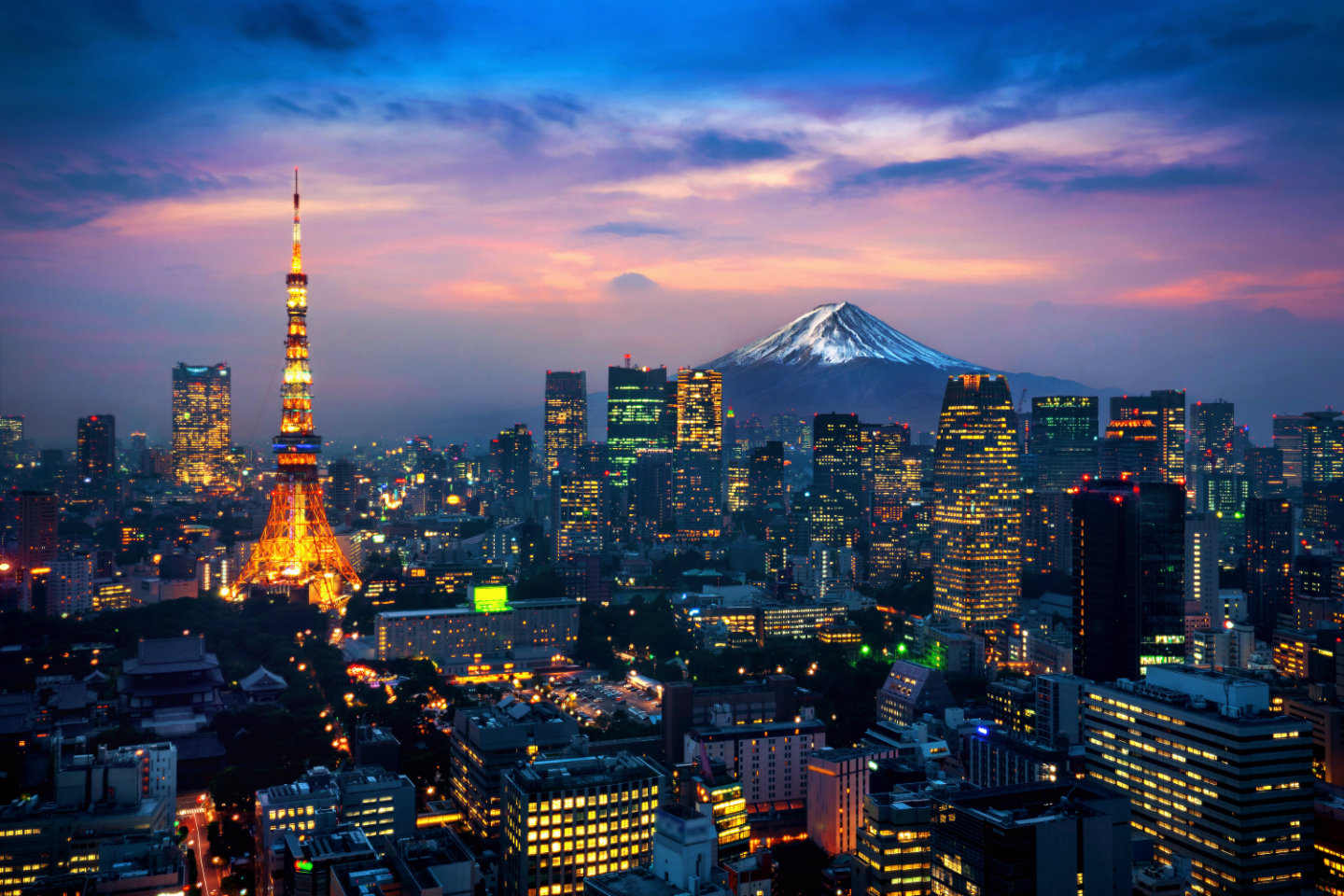 Aerial view of Tokyo cityscape with Fuji mountain in Japan