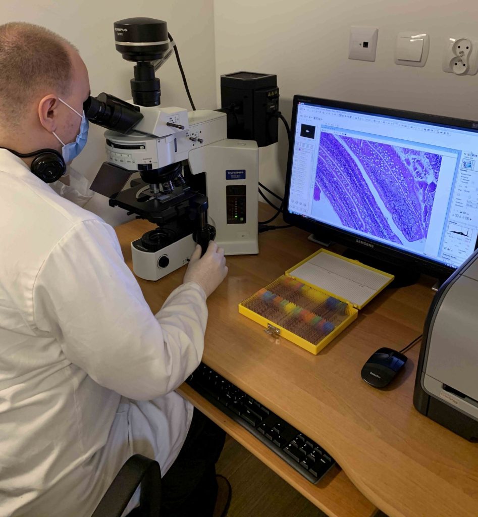 Mężczyzna analizuje preparat pod mikroskopem, podgląd widoczny w stojącym obok komputerze