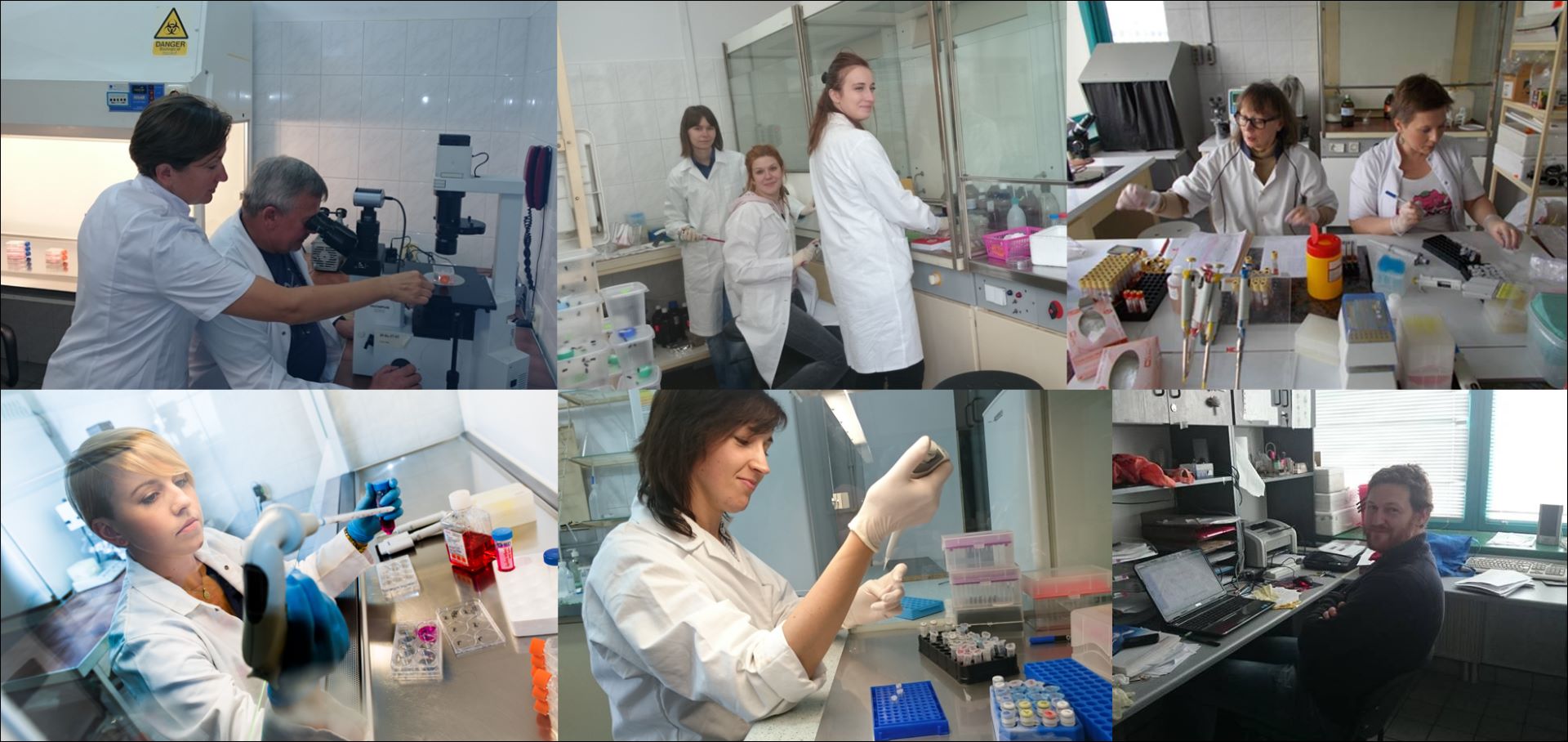 Kolaż 6 zdjęć przedstawiających naukowców w laboratoriach przy pracy