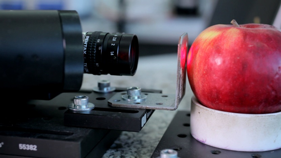 Soczewka aparatu skierowana na jabłko