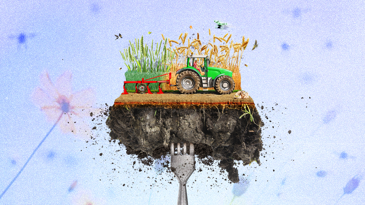 Ilustracja przedstawiająca rolnictwo regeneracyjne