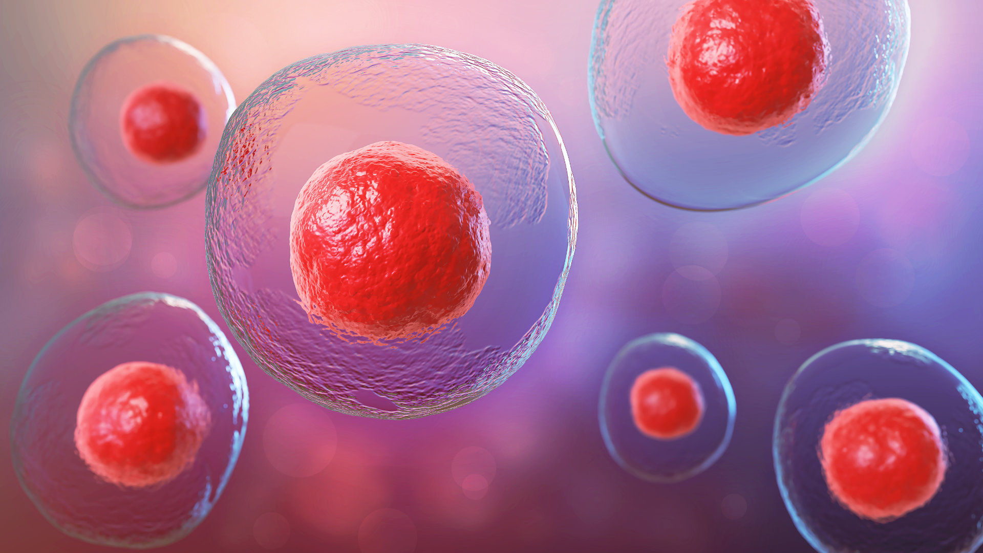 Ilustracja przedstawiająca komórki macierzyste