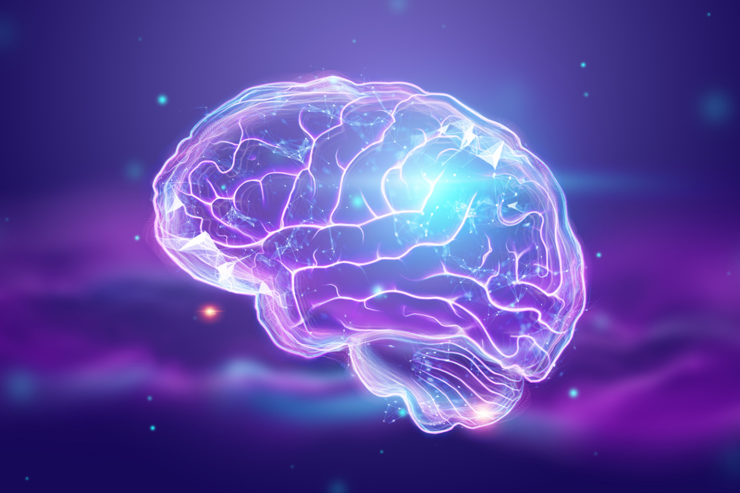 Ilustracja przedstawiająca ludzki mózg