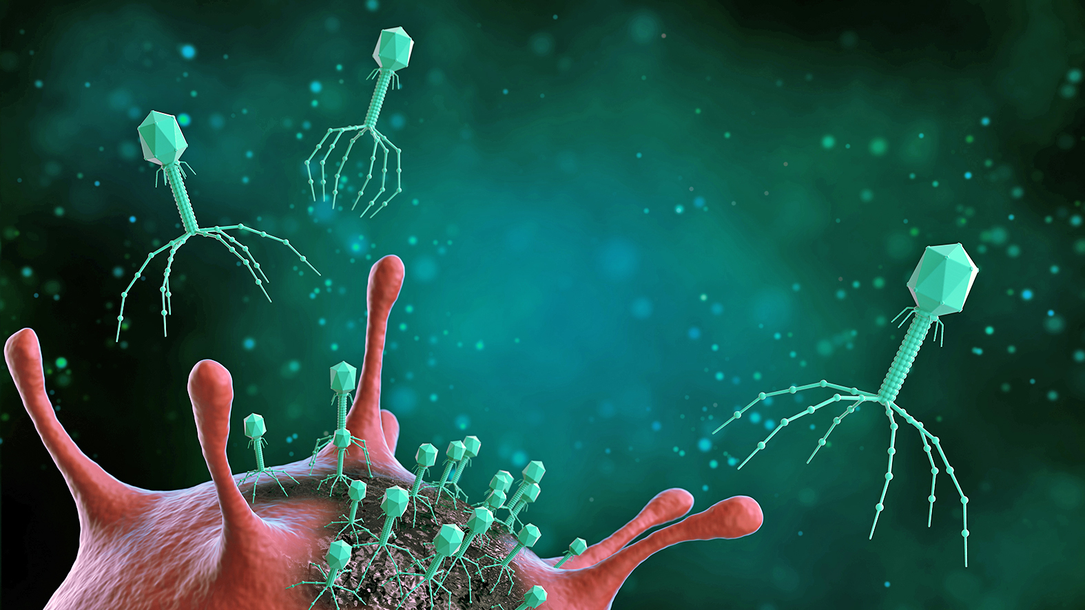 Ilustracja przedstawiająca bakteriofagi atakujące bakterie, choroby zakaźne