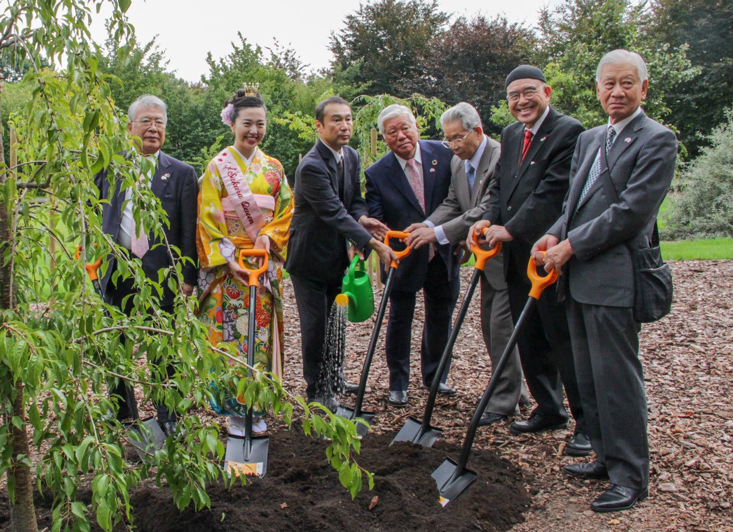 Sześciu mężczyzn ze stowarzyszenia japońskiego stoi, podpierając się o szpadle w towarzystwie Japonki w kimonie – wcześniej zasadzili drzewko wiśni piłkowanej na terenie kolekcji sakur 