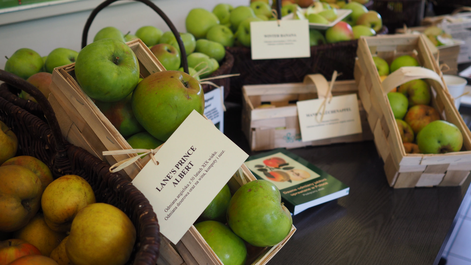 Owoce historycznych odmian jabłoni w skrzynkach z etykietkami opisującymi odmiany