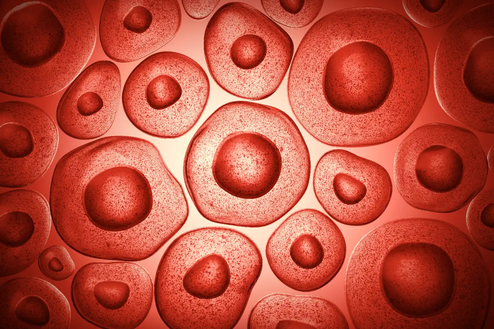 Ilustracja przedstawiająca komórki macierzyste
