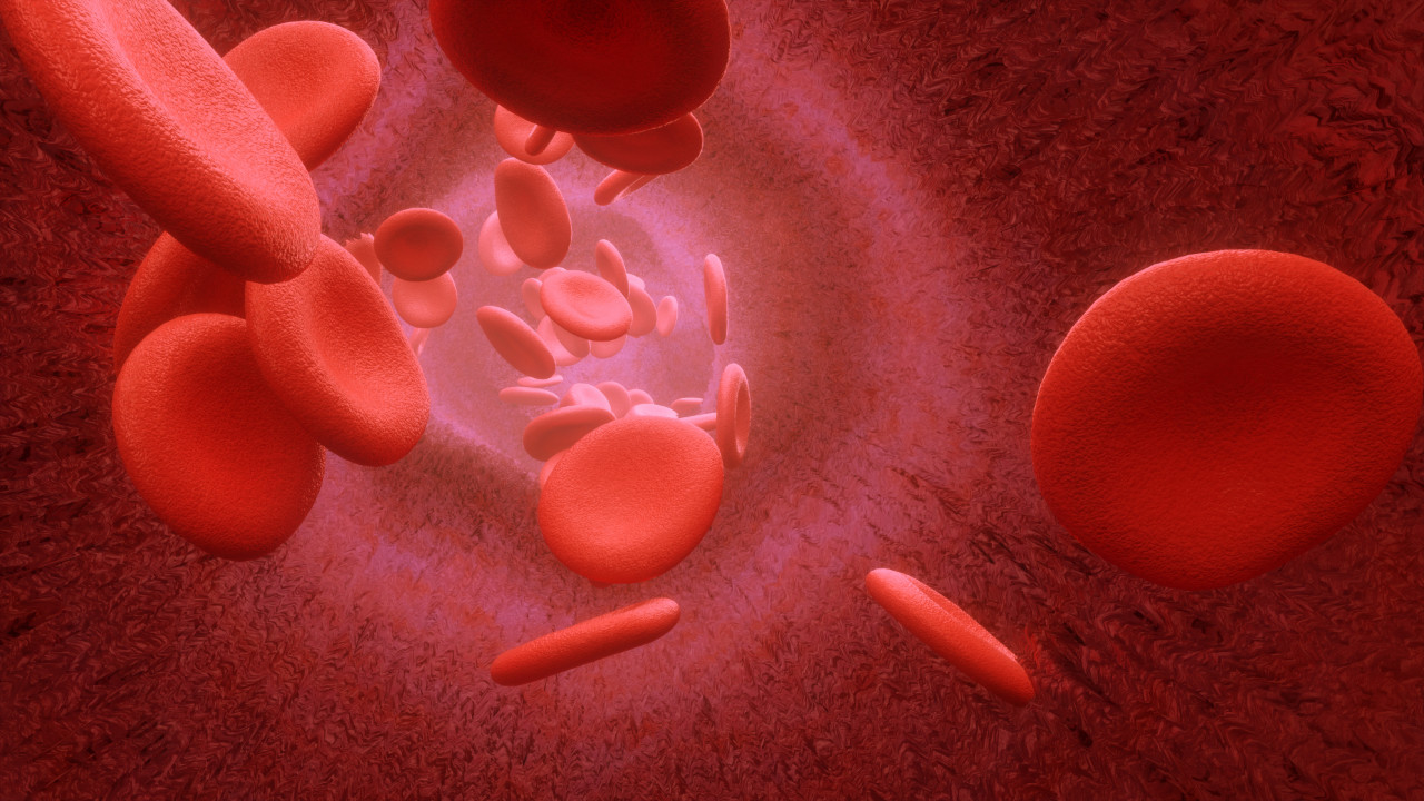 Ilustracja czerwonych krwinek